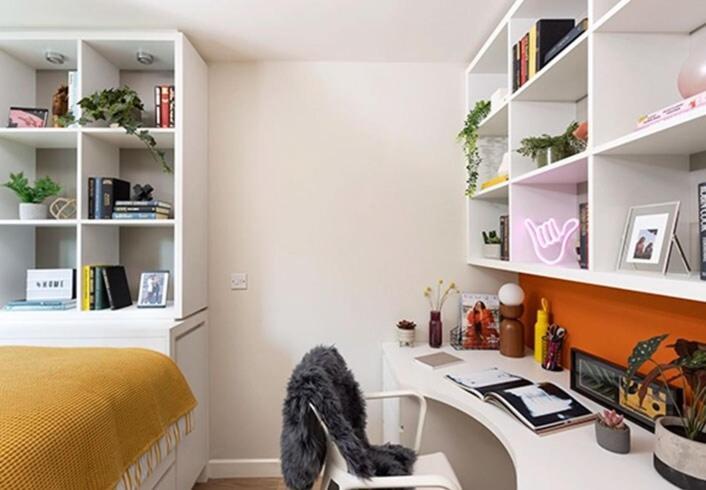 Student Only Premium Ensuite At Drapery Place * London